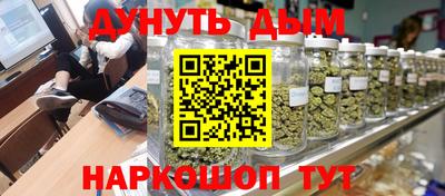 дмт Гай