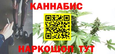 дмт Гай