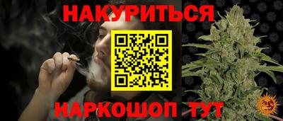 дмт Гай