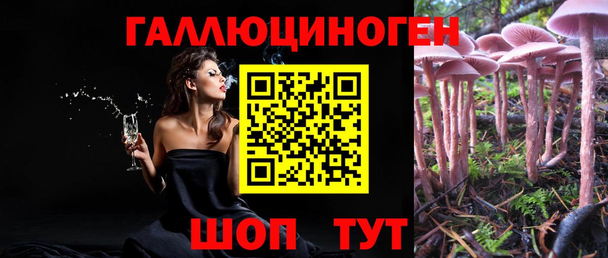 Галлюциногенные грибы Psilocybine cubensis Коломна